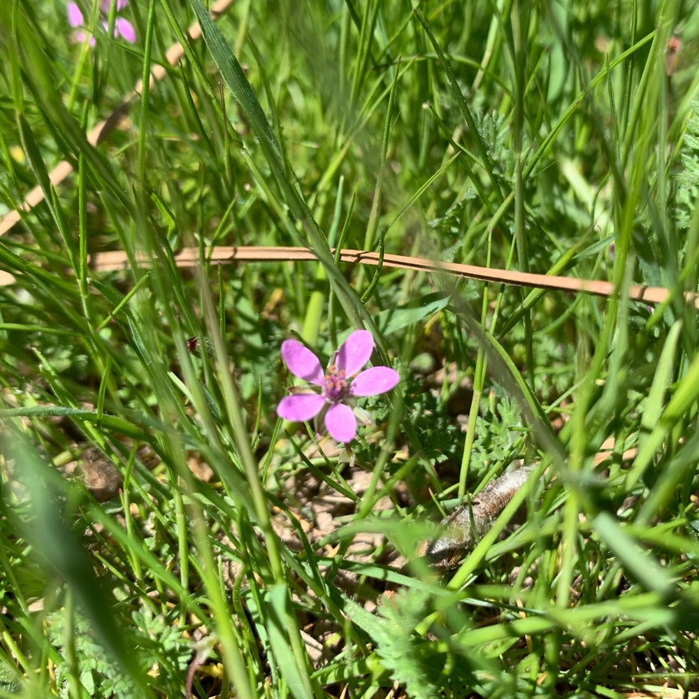 Meet your Posher, Maddy